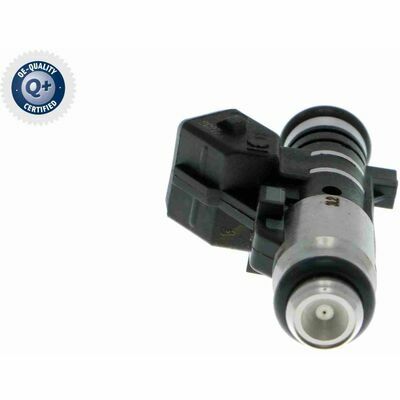 Q+,  Première Monte