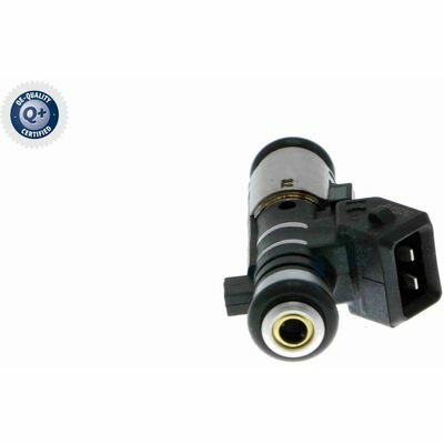 Q+,  Première Monte