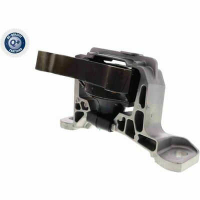 Q+,  Première Monte