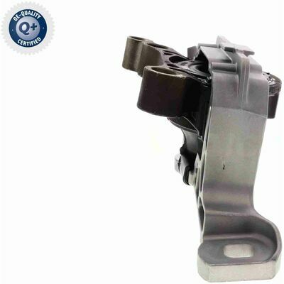 Q+,  Première Monte