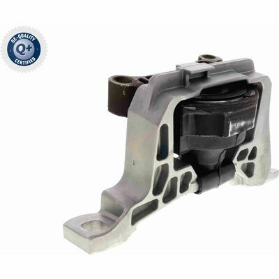 Q+,  Première Monte