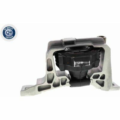 Q+,  Première Monte