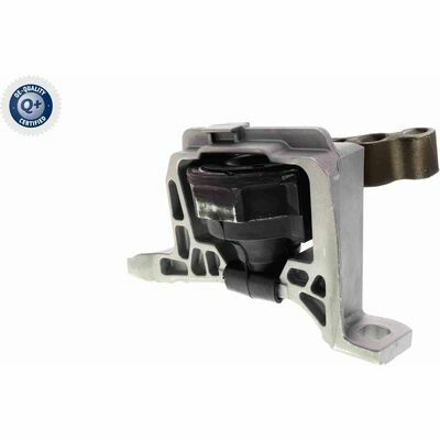 Q+,  Première Monte