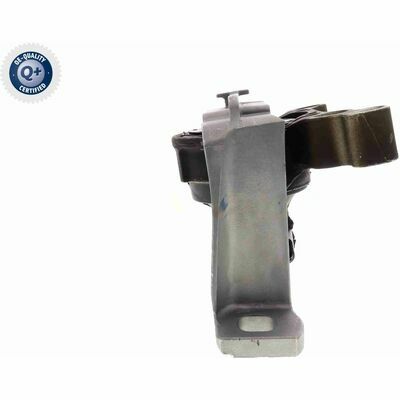 Q+,  Première Monte