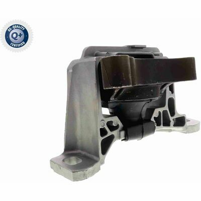 Q+,  Première Monte