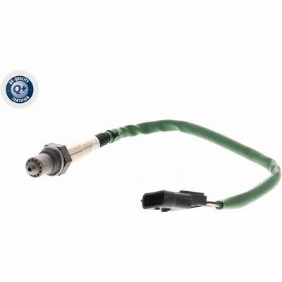 Q+,  Première Monte