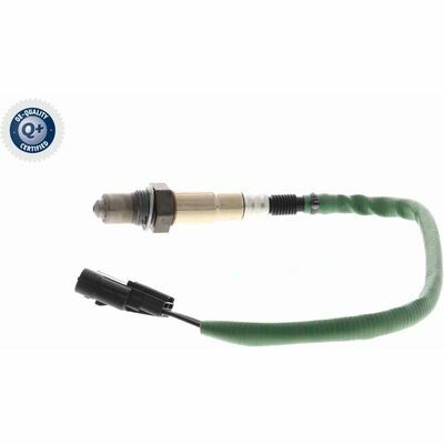 Q+,  Première Monte