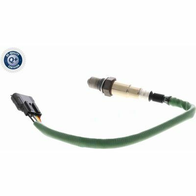 Q+,  Première Monte