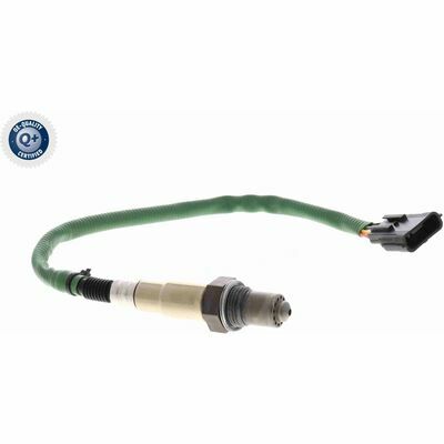 Q+,  Première Monte