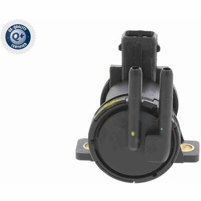 Q+,  Première Monte