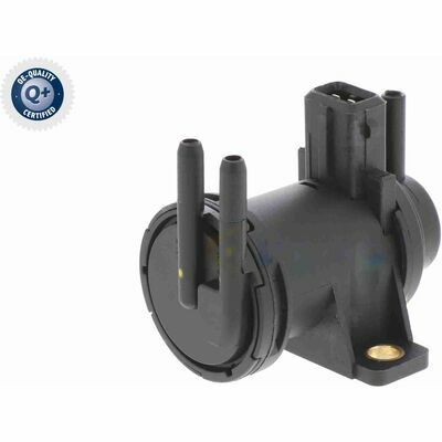 Q+,  Première Monte