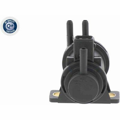 Q+,  Première Monte