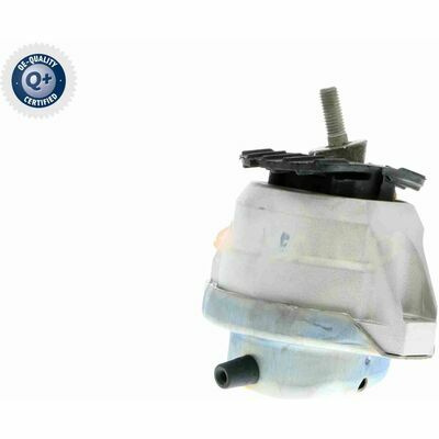 Q+,  Première Monte