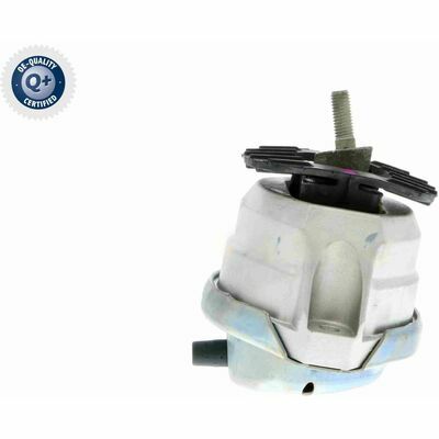 Q+,  Première Monte