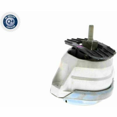 Q+,  Première Monte