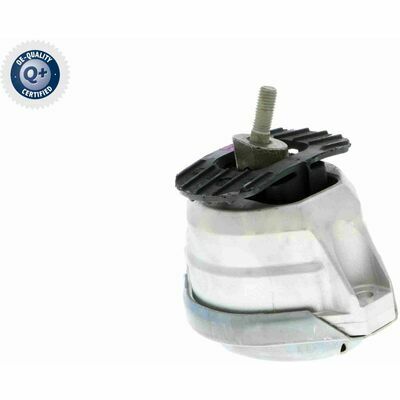 Q+,  Première Monte