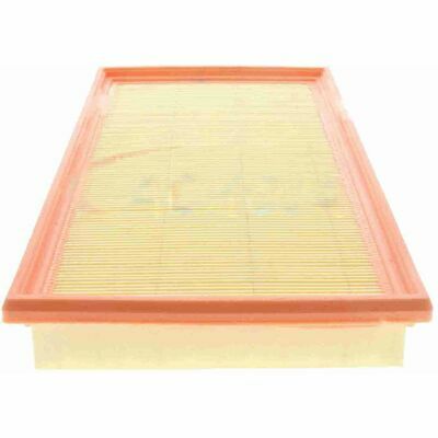 Original ACKOJA kwaliteit