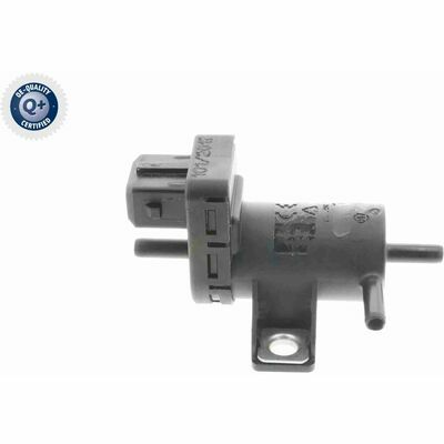 Q+,  Première Monte