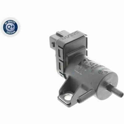 Q+,  Première Monte