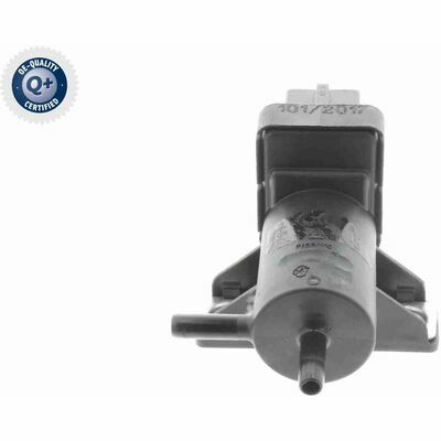 Q+,  Première Monte