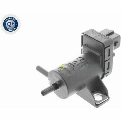 Q+,  Première Monte