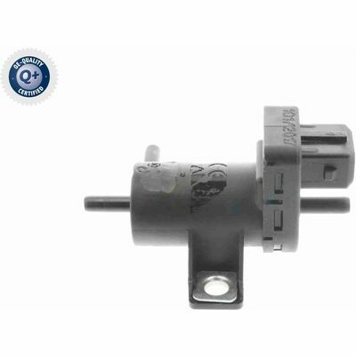 Q+,  Première Monte