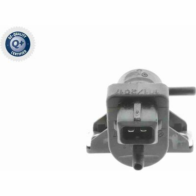 Q+,  Première Monte