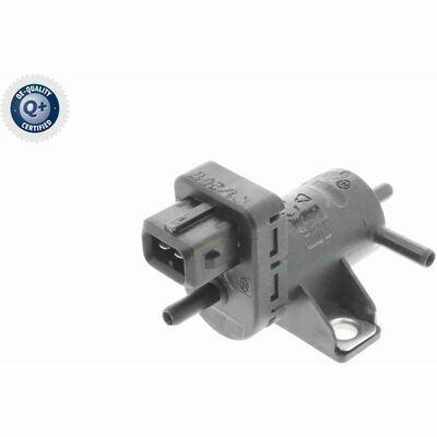 Q+,  Première Monte