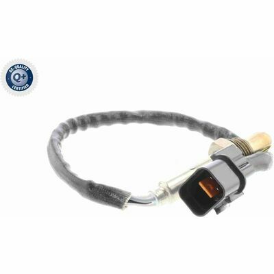 Q+,  Première Monte