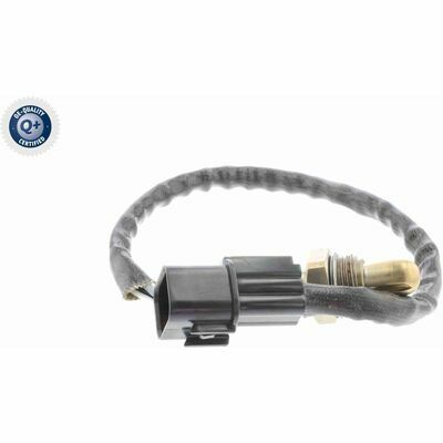 Q+,  Première Monte