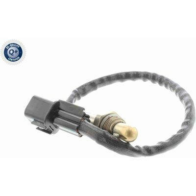 Q+,  Première Monte