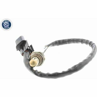 Q+,  Première Monte