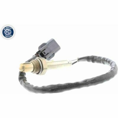 Q+,  Première Monte