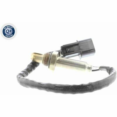 Q+,  Première Monte