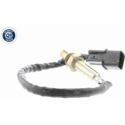 Q+,  Première Monte