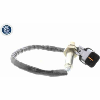 Q+,  Première Monte