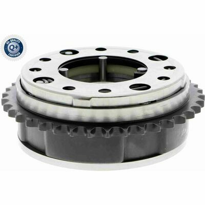 Q+,  Première Monte