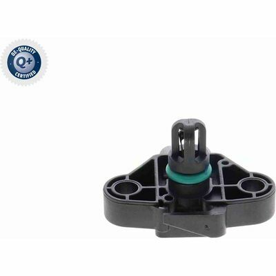 Q+,  Première Monte