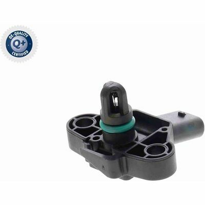 Q+,  Première Monte