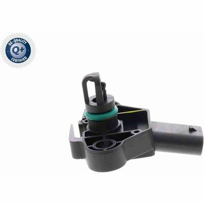 Q+,  Première Monte