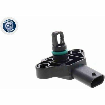 Q+,  Première Monte