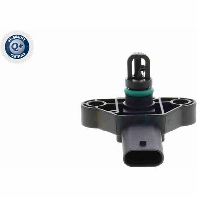 Q+,  Première Monte