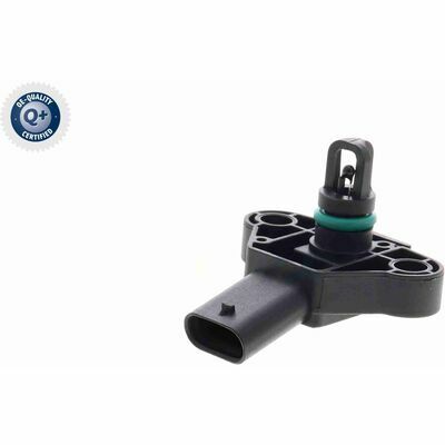 Q+,  Première Monte