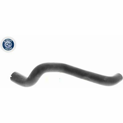 Q+,  Première Monte