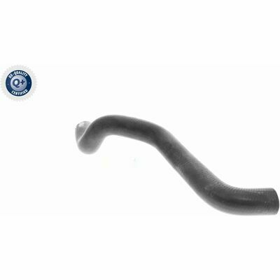 Q+,  Première Monte