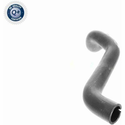 Q+,  Première Monte