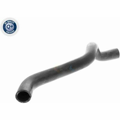 Q+,  Première Monte