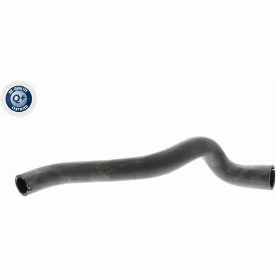 Q+,  Première Monte