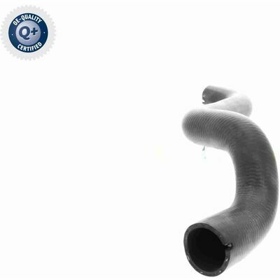 Q+,  Première Monte