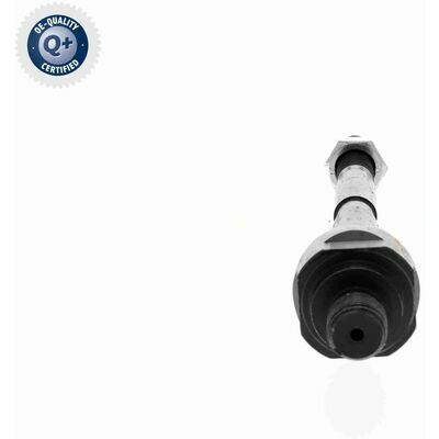 Q+,  Première Monte